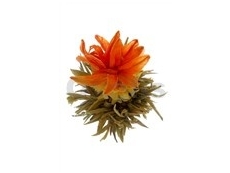 Bílý kvetoucí čaj - Huang Jia Bai He - Císařská lilie - 10ks