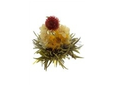Kvetoucí bílý čaj - Shuang Long Xi Zhu - Draci s perlou - 10ks